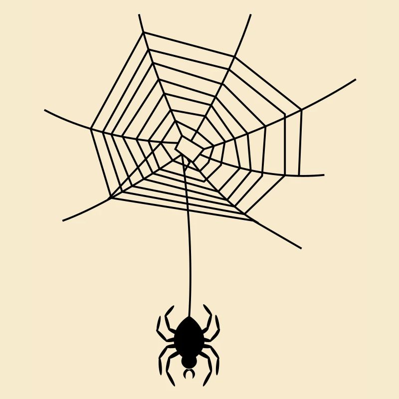 spinnennetz