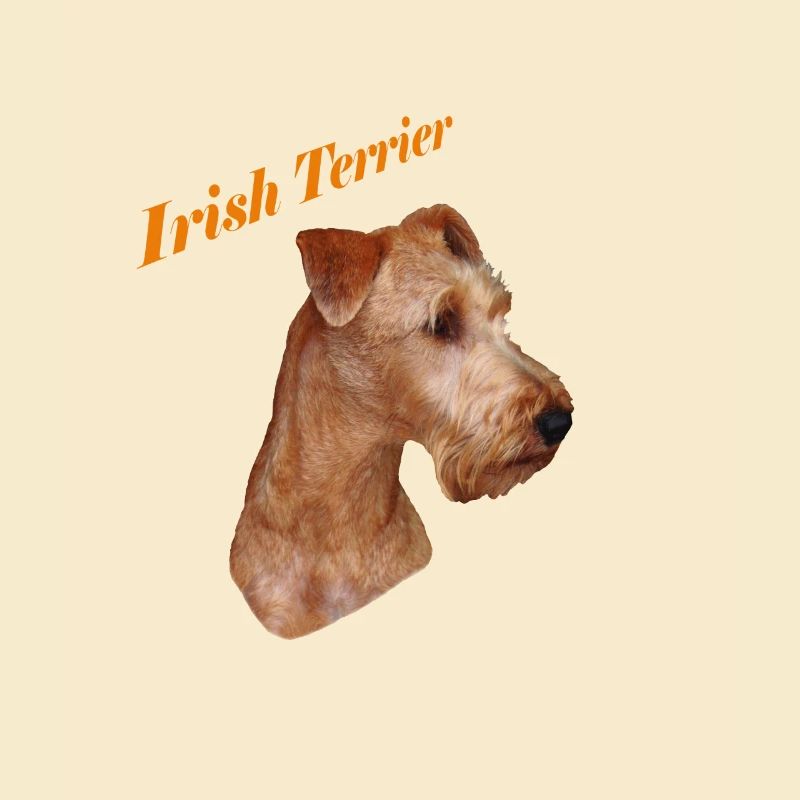 Irish Terrier