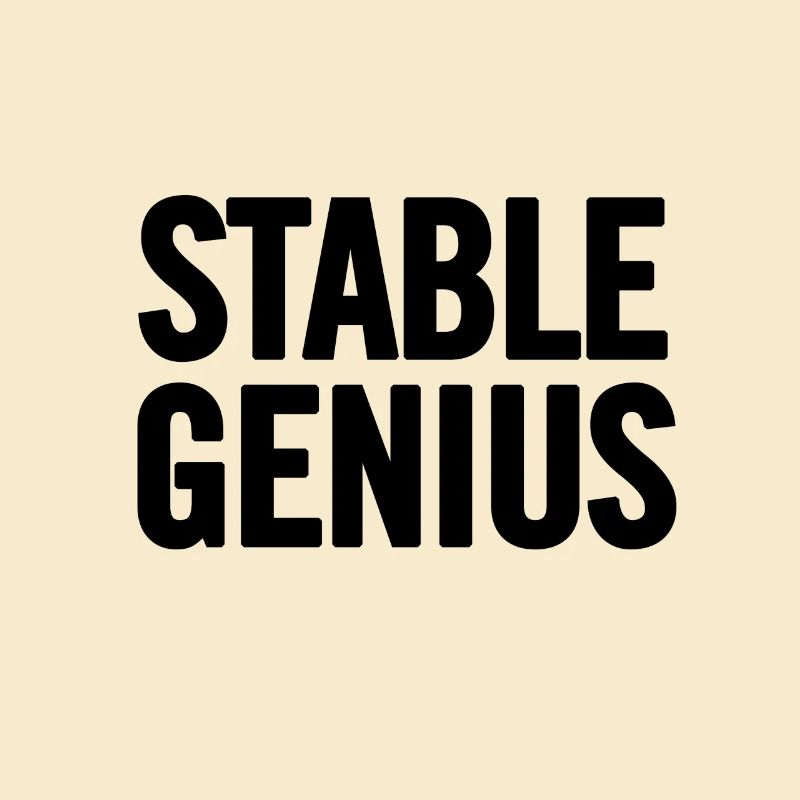 Stabil Genius Schwarz