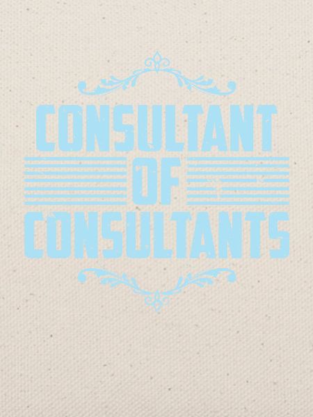 Berater von Consultants