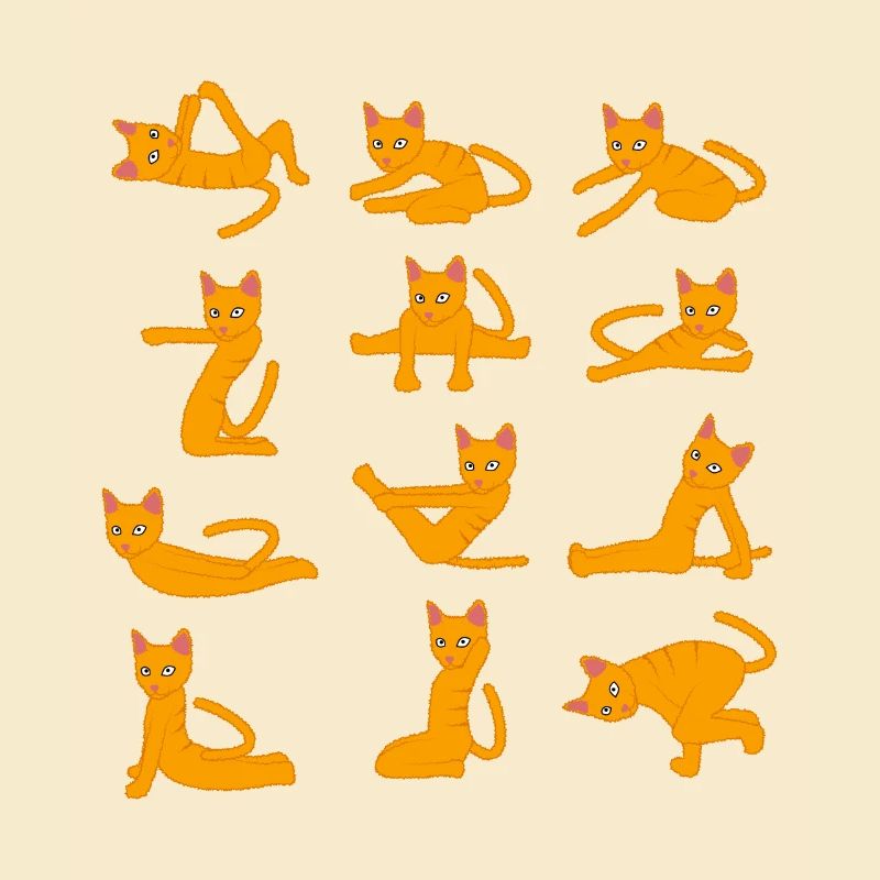Cats doing Yoga