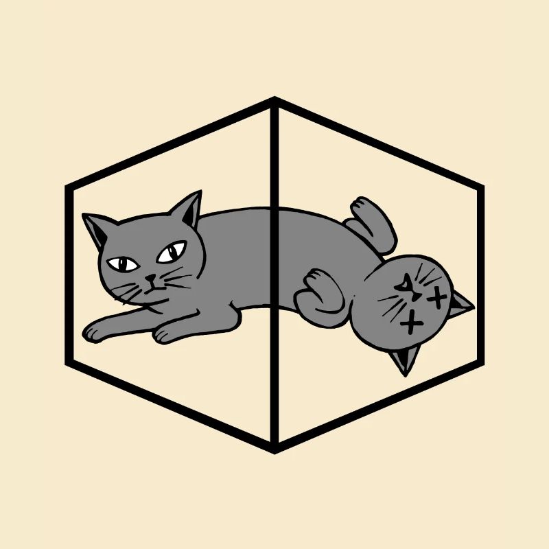 Schroedingers Cat Schrödingers Katze Physik