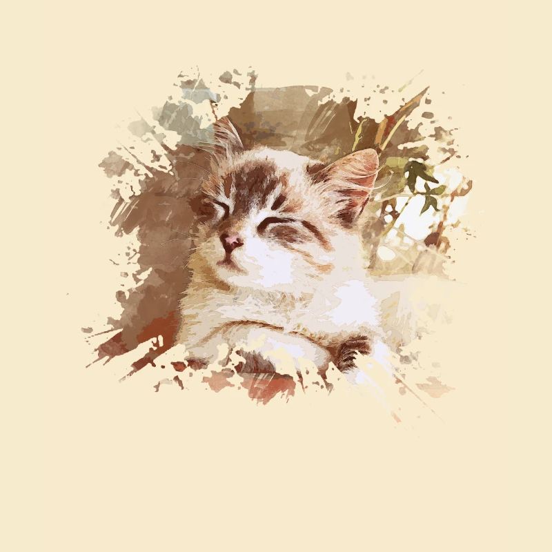Katze