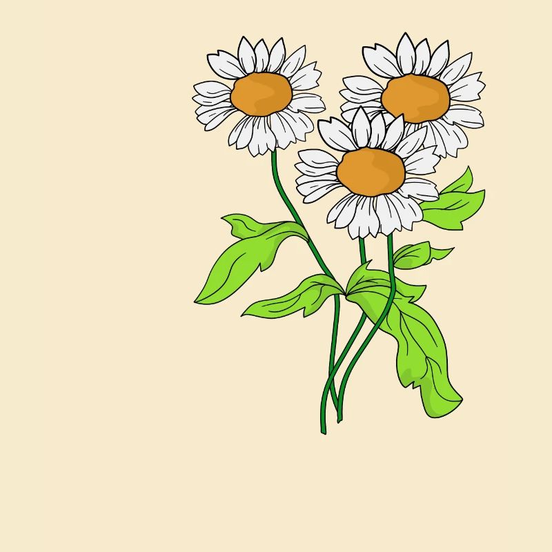 Gänseblümchen Blume Pflanze blühen Geschenkidee