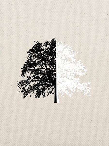 Baum Baum Schwarz Weiß Illusion