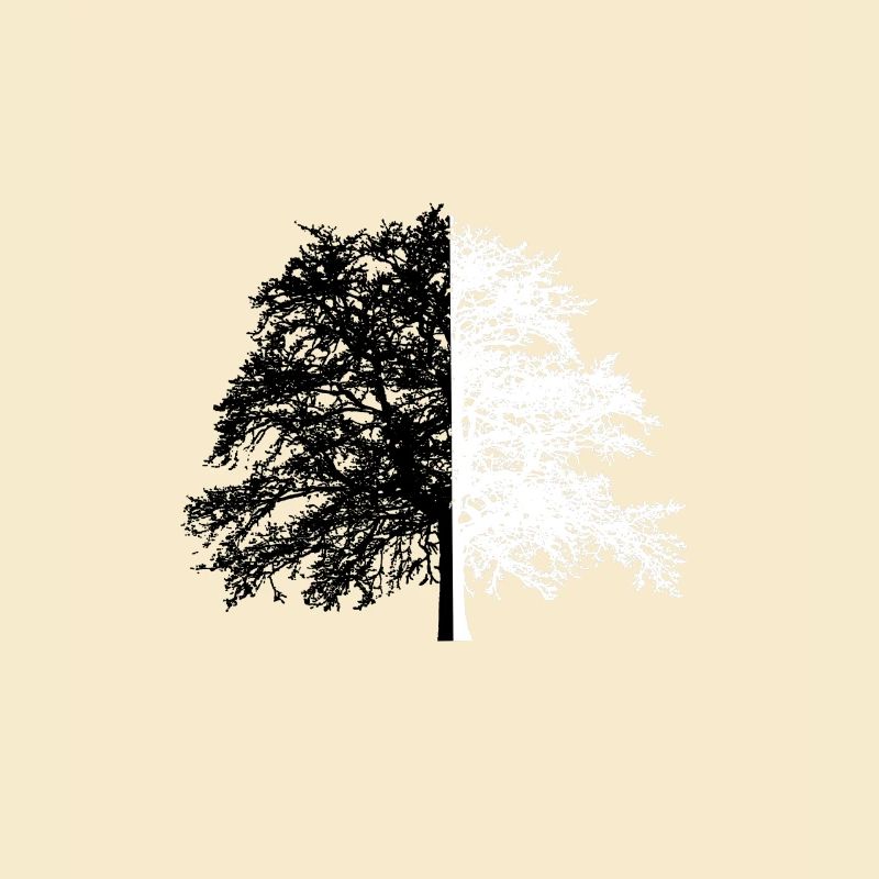 Tree Tree Black White Illusion