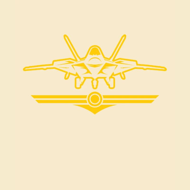Pilot Kampfjet Militär Düsenjet Jäger