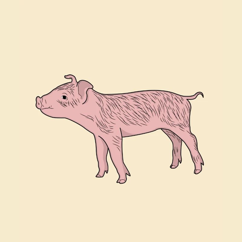 Ferkel Schweinchin