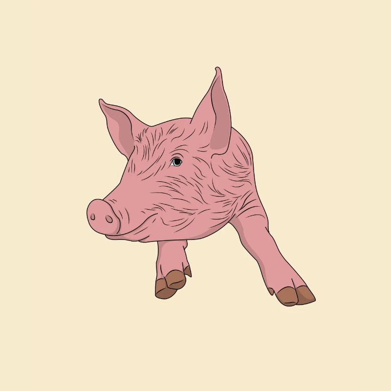 Schwein