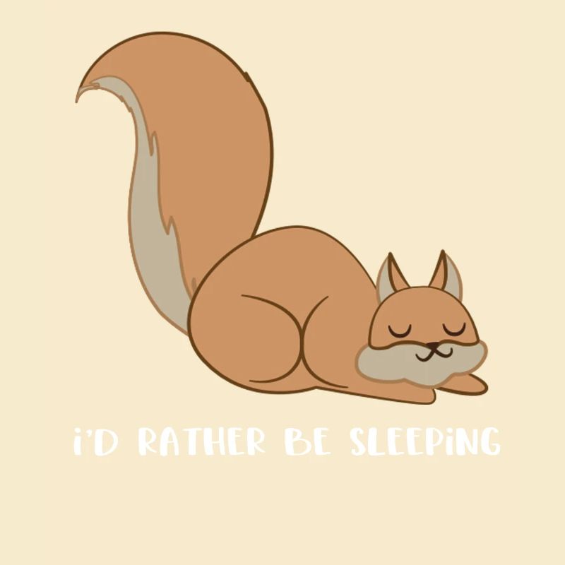 Squirrel - squirrel fan - sleeping