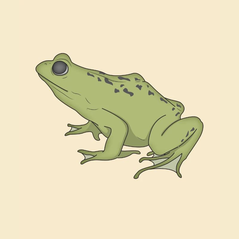 Frosch