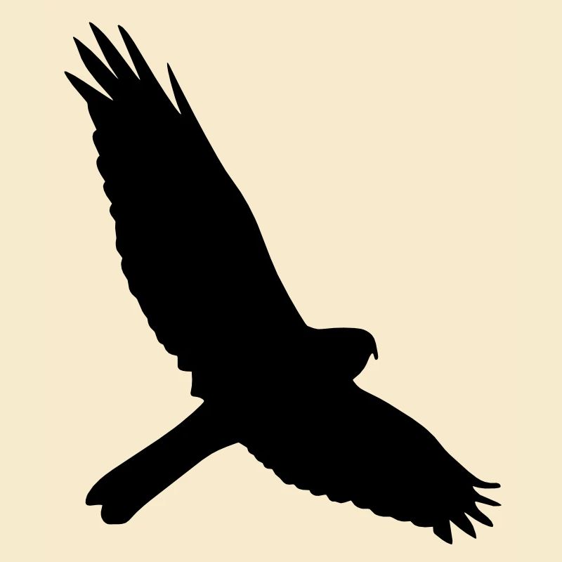 Falke