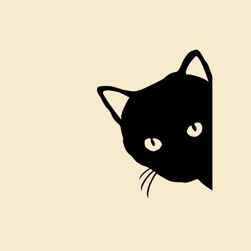 Chat noir