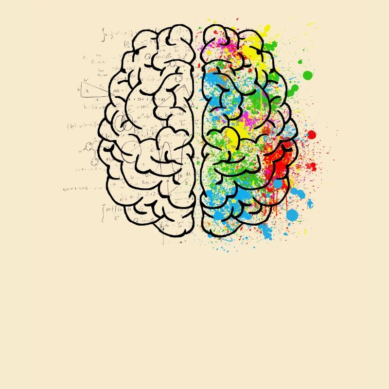 Brain Art and Science Logic & Creativity