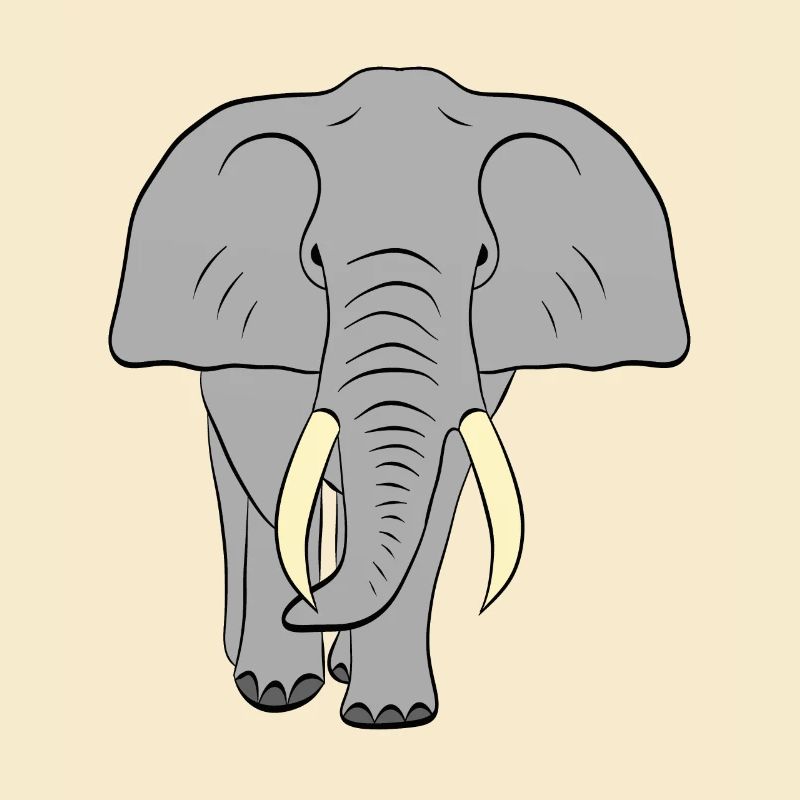 Elefant