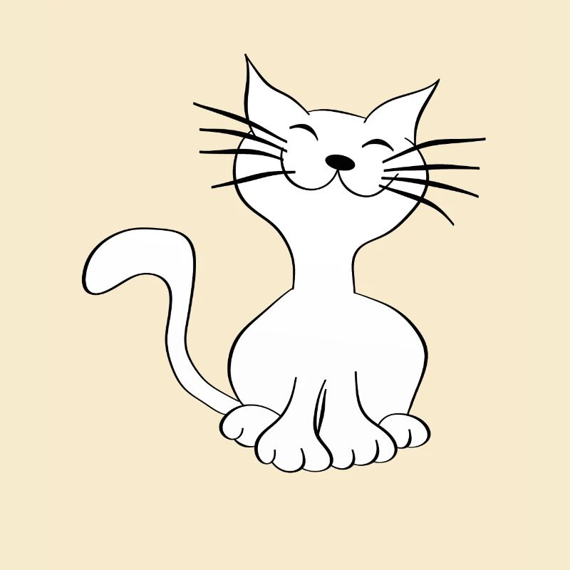 Katze