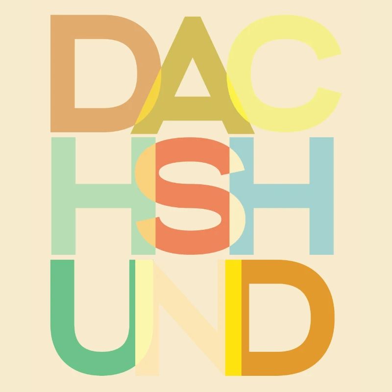 Dackelhund Hund Bunt