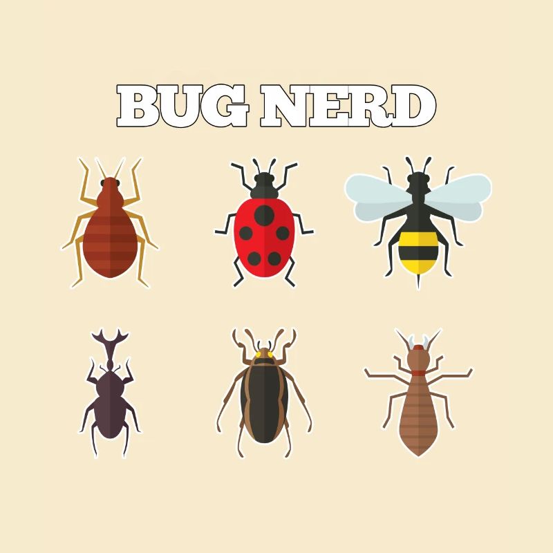 Bug Nerd