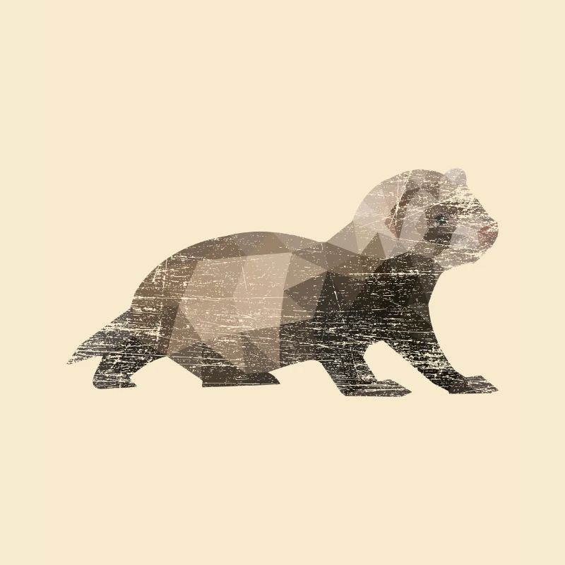 Furet polygone polecat