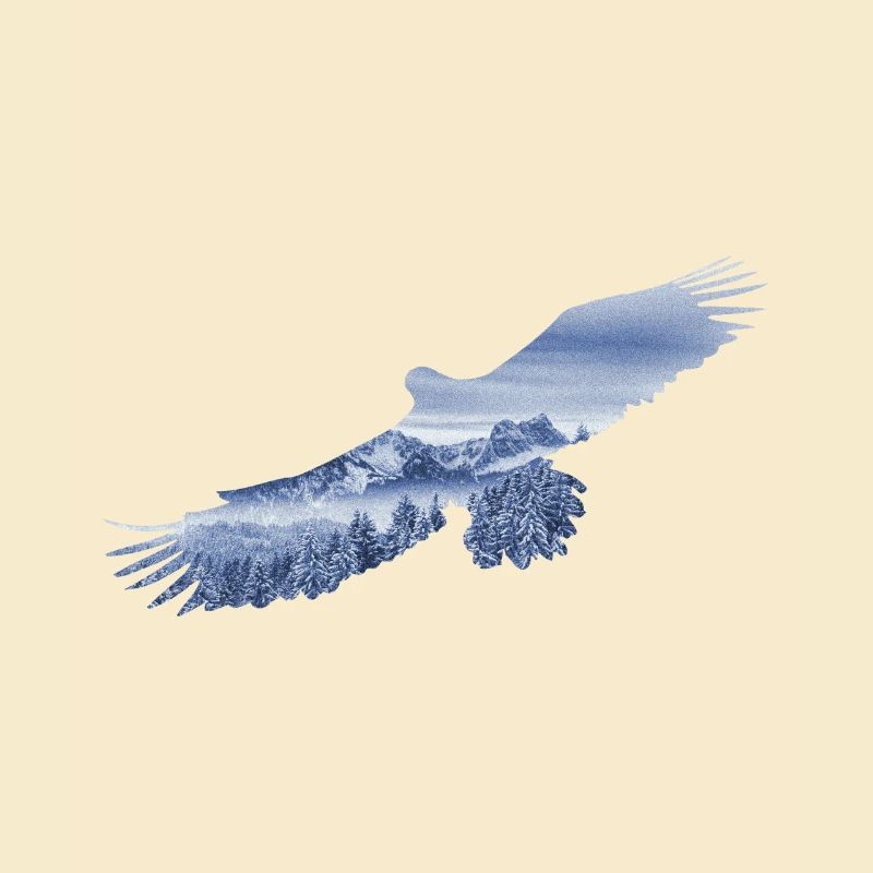 Soar like an Eagle