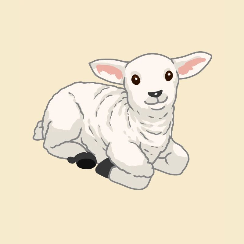 Baby Easter Lamb Sheep Lamb Goat Easter
