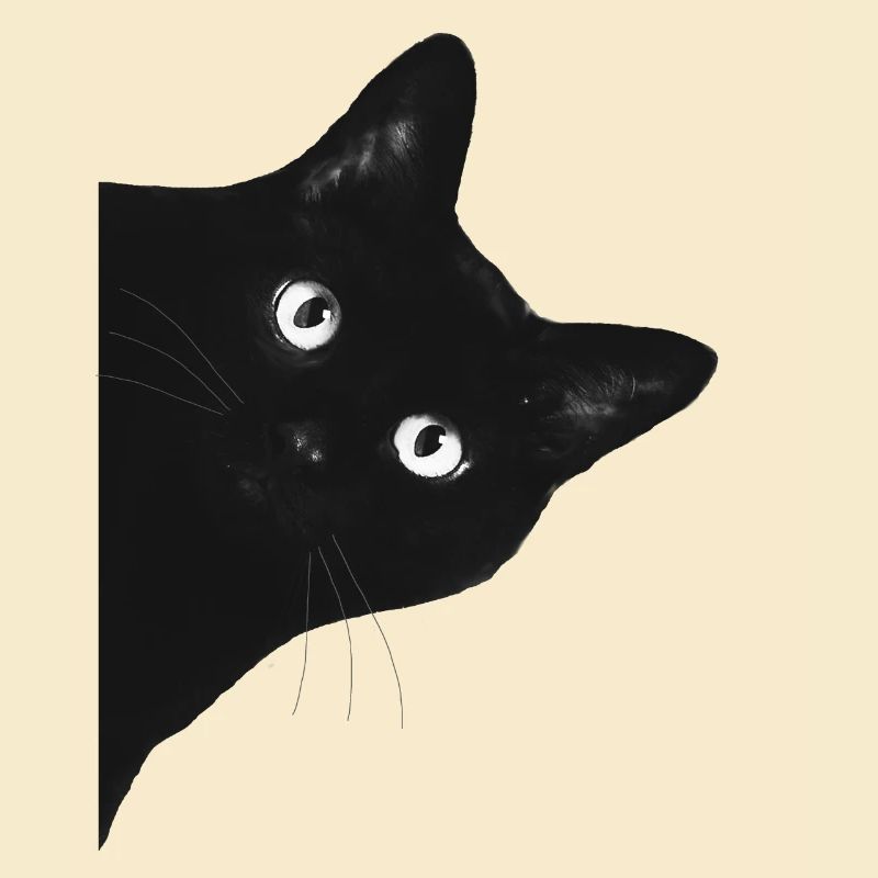 Katze