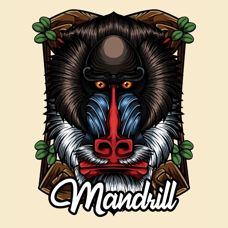 Monkey face Mandrill colorful monkey gift
