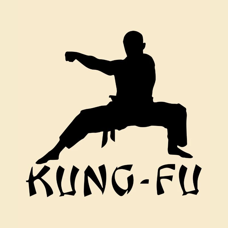 kung fu geschenkshirt