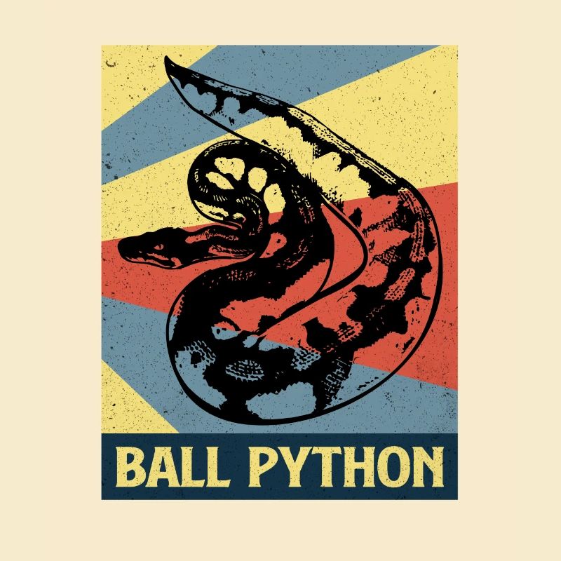 Python