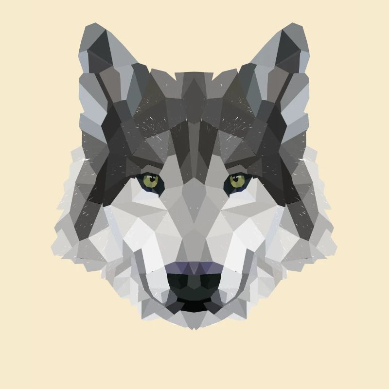 POLYGONE LOUPS LOUPS HUSKY PACK PACK CHIEN PACK PACK