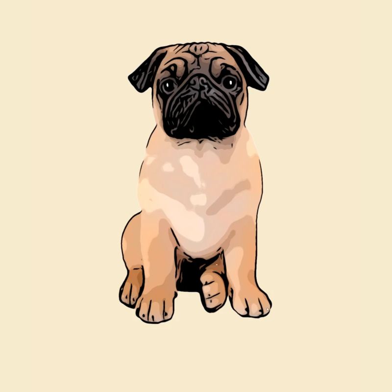 Mops Mops Mops