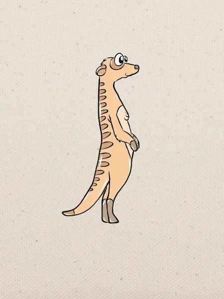 Erdmännchen