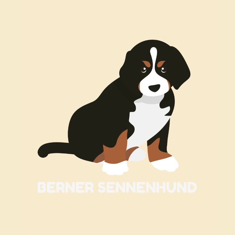 Berner Sennenhund Welpe