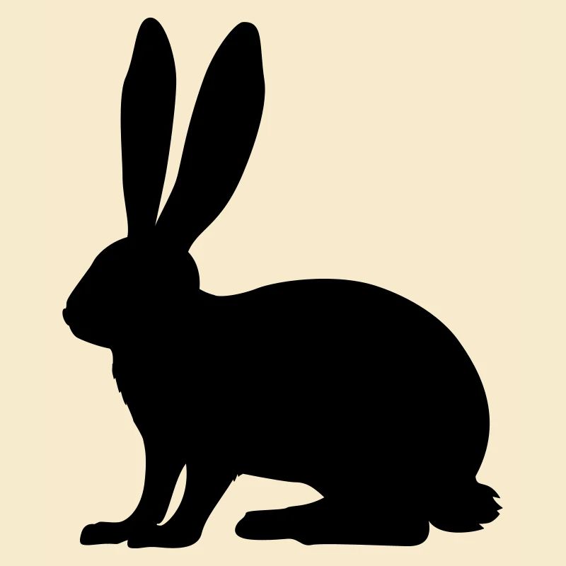 Rabbit, Hase, Bunny