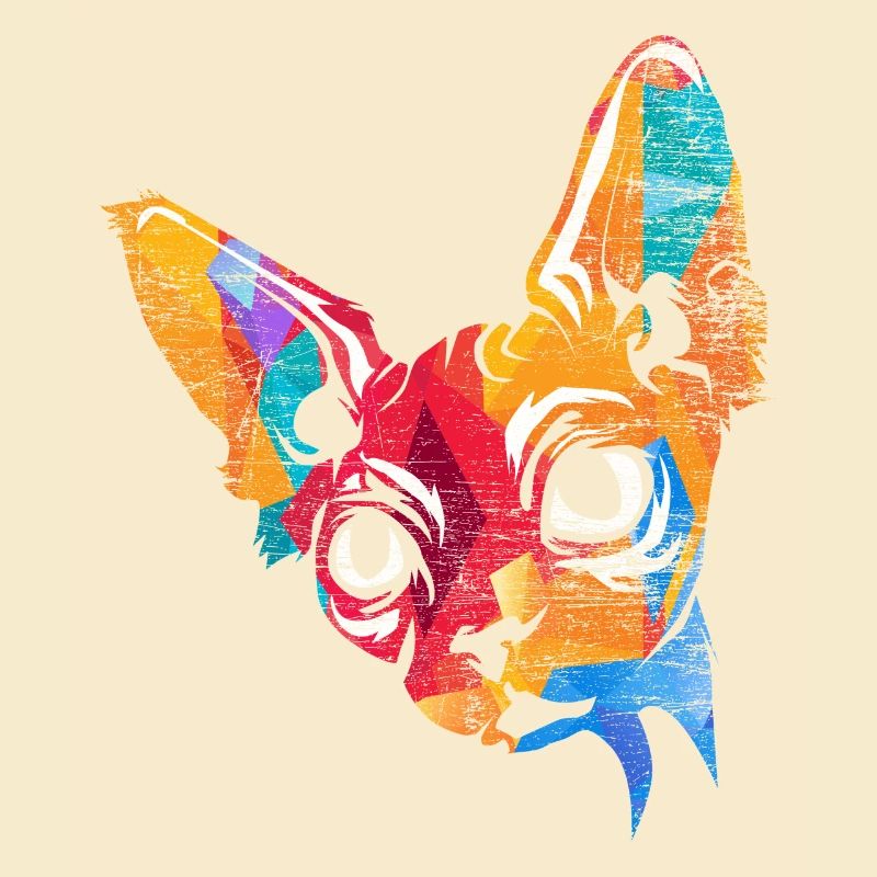 Sphynx gift