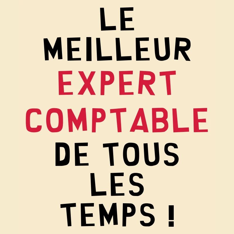 Expert Comptable / Comptabilité / Comptable /