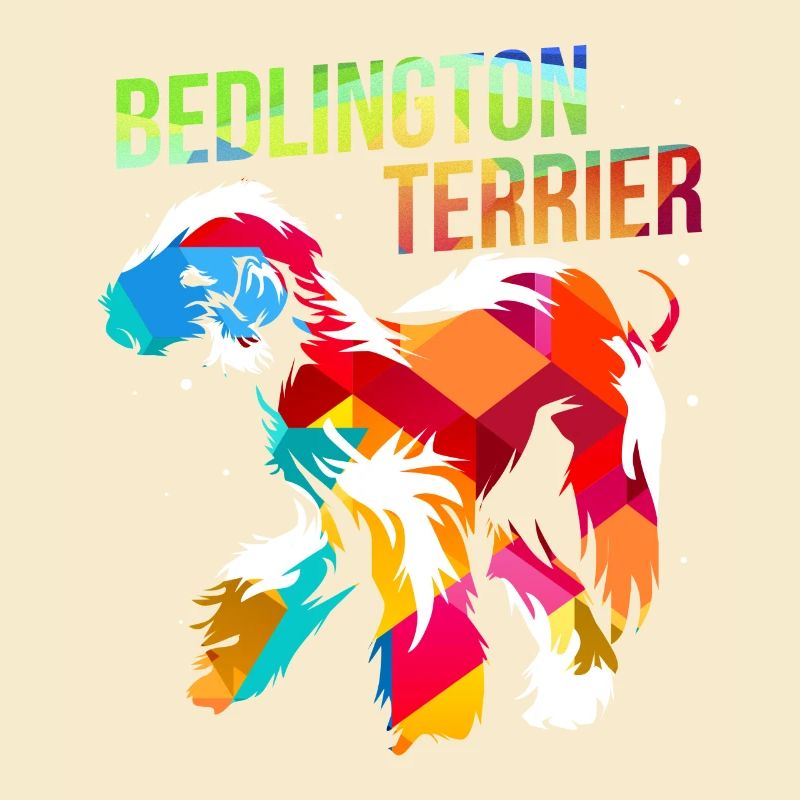 Bedlington Terrier