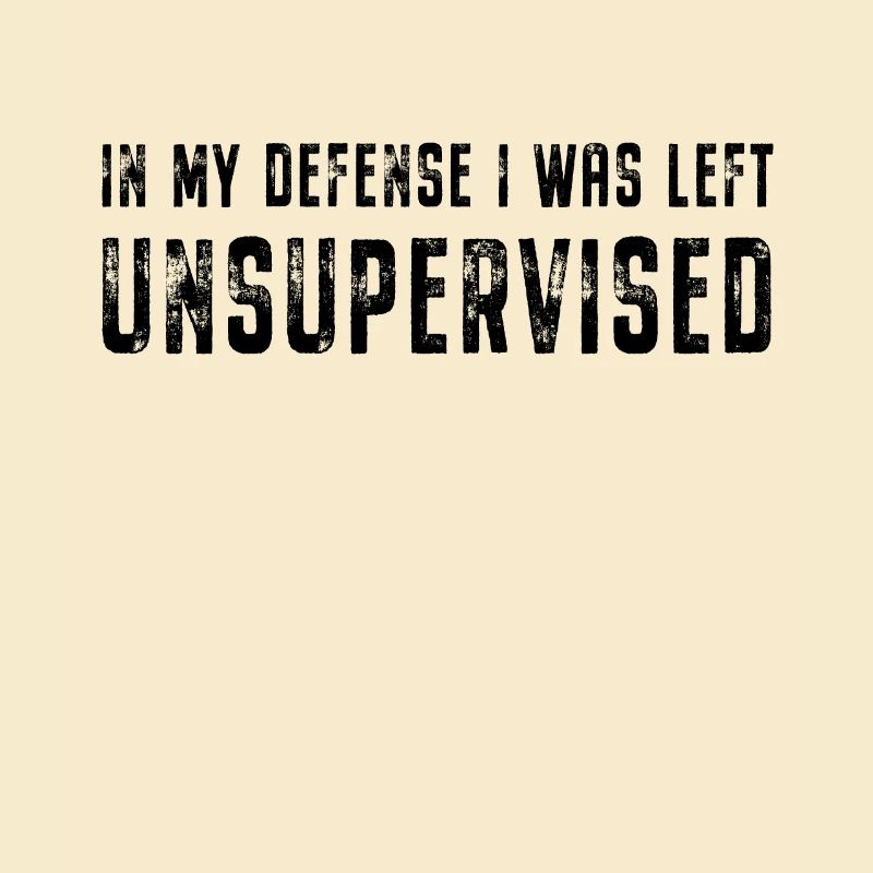 Dans My Defense I Was Left Unsupervised Spruch