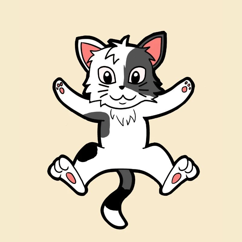 Kätzchen Katze Haustiere
