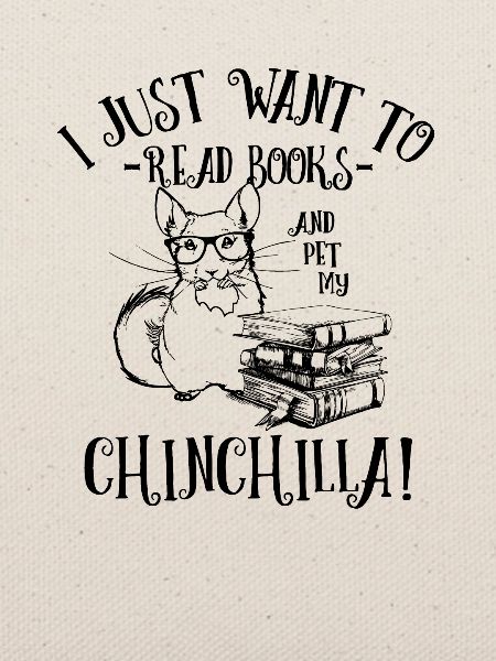 Chinchilla
