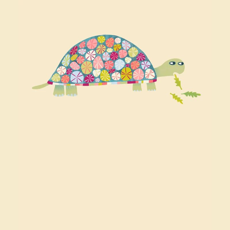 Schildkröte