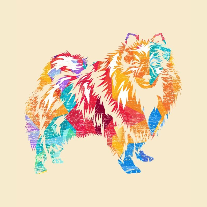 Keeshond