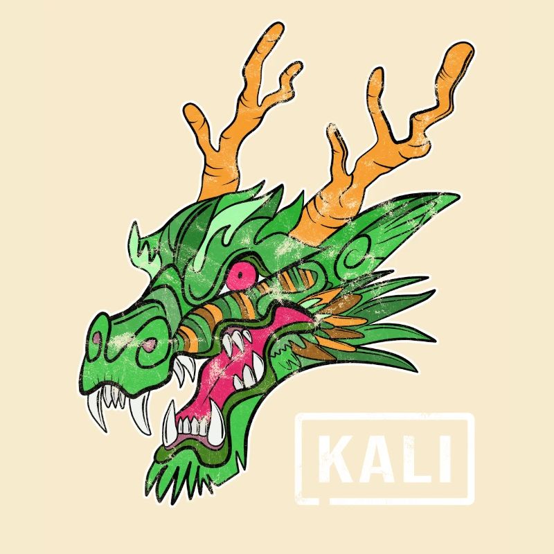 Kali Linux Computer Administrator Tux Dragon Head