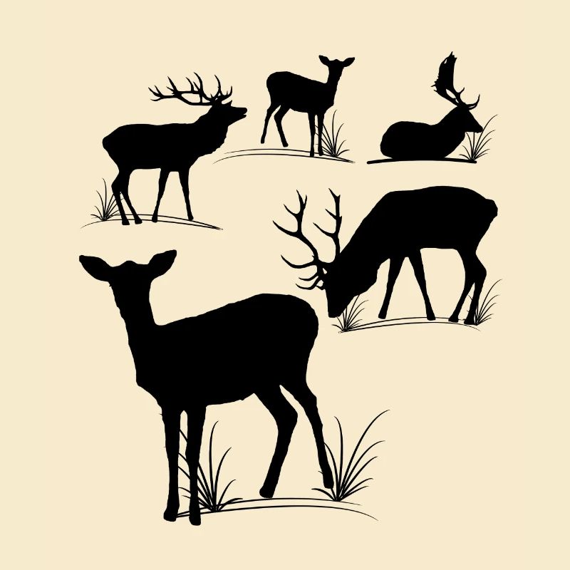 Deer, roe deer, fallow deer, fallow deer, roebuck
