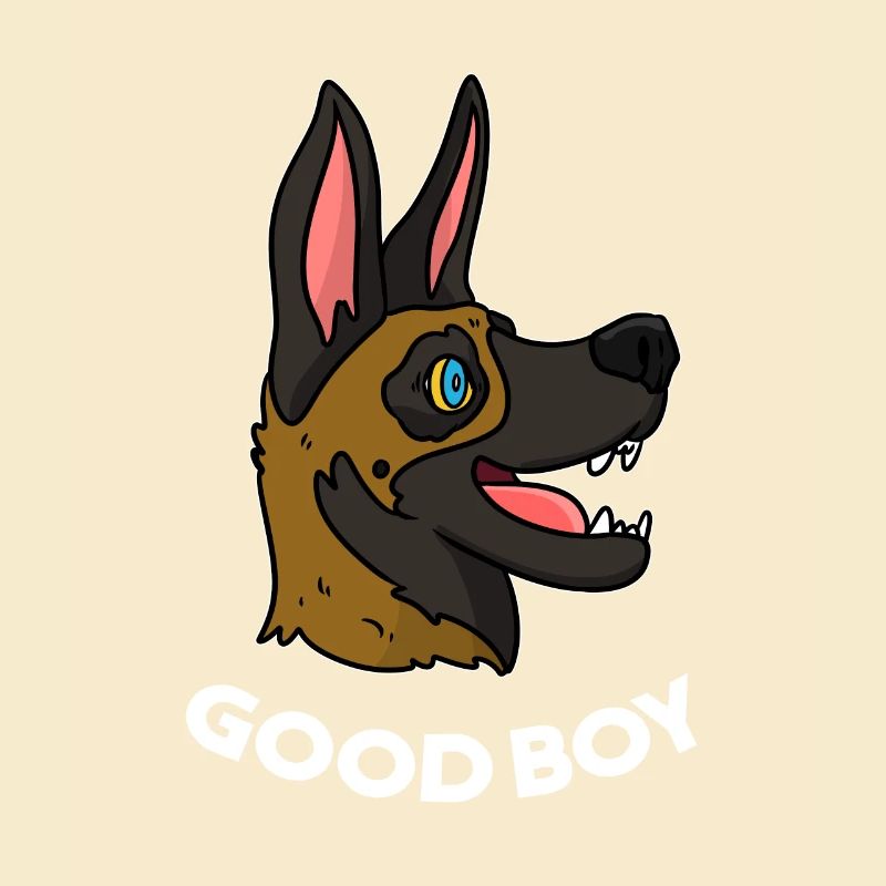 Malinois Hund