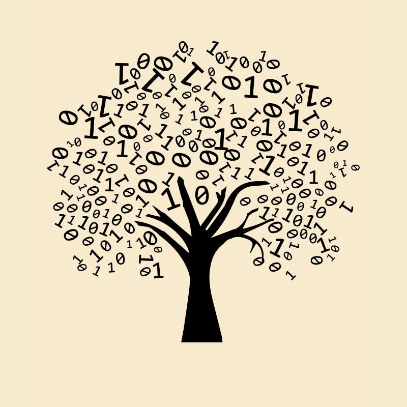 Programmeur Arbre binaire