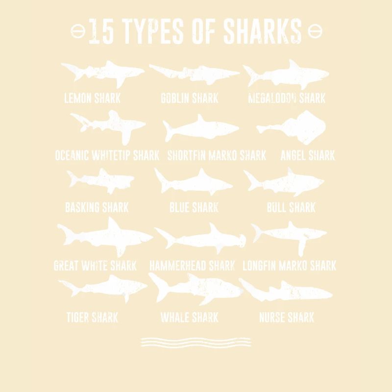 Requins - 15 types de requins