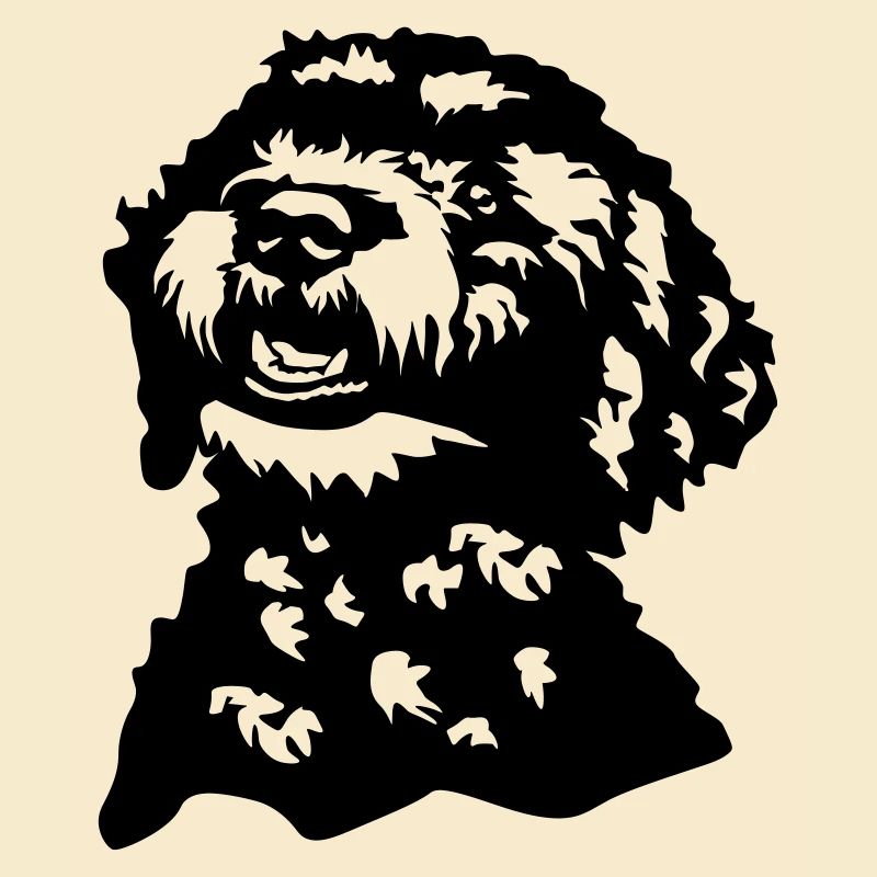 Lagotto Romagnolo head