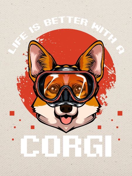 Corgi Taucher Badespaß