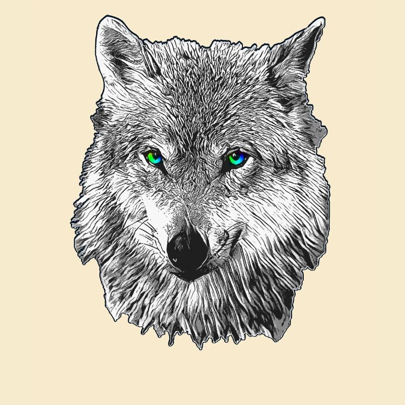 Wolf